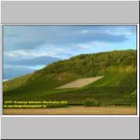 16707 Weinberge Bullenheim Oberfranken 2010.JPG